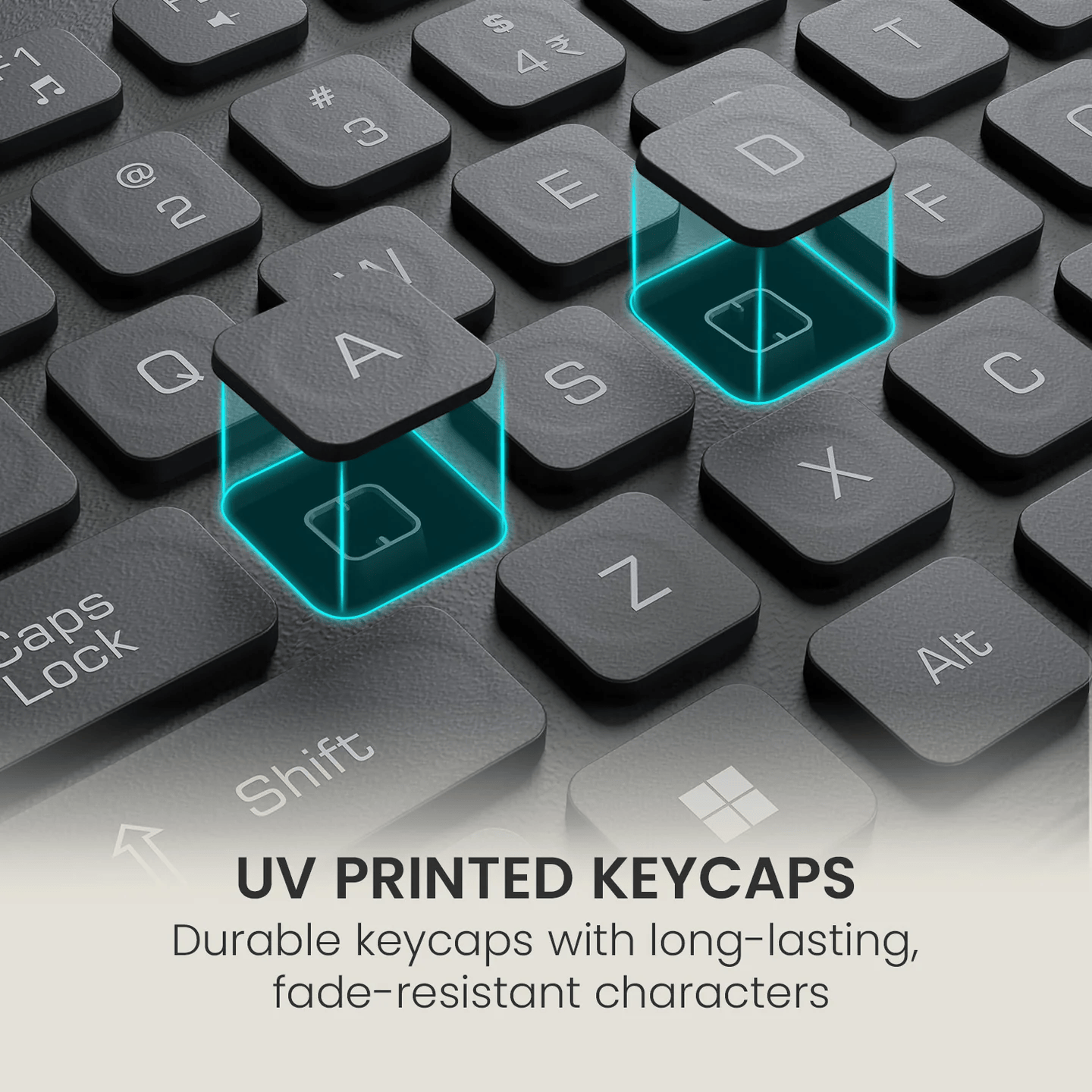 Portronics Wired Keyboard and Mouse